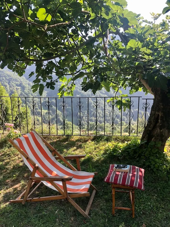 Tumbona bajo la higuera